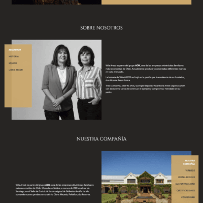 Sitio web Aresti Chile