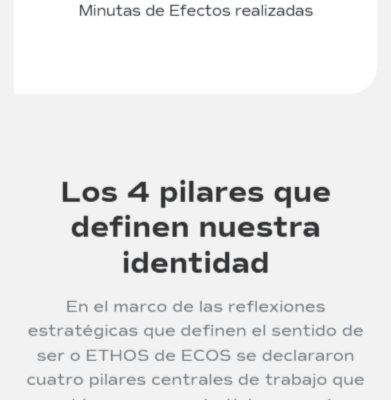 Sitio web Ecos Chile