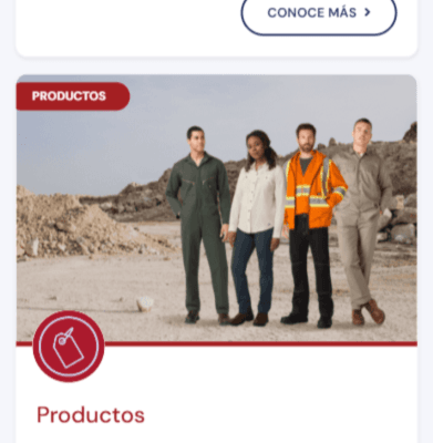 Sitio web Le Grand Chic