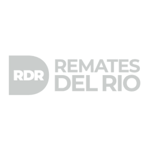 Remates del Río