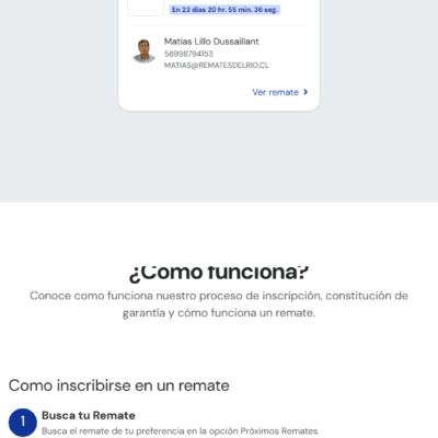Sitio web Remates del Río tablet