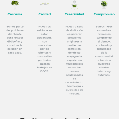 Sitio web Ecos Chile