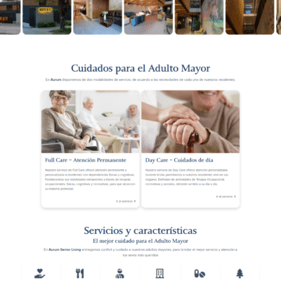 Sitio web Aurum Care