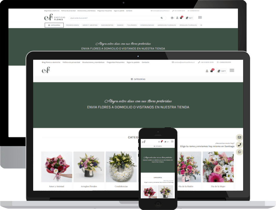 E-commerce Exóticas Flores y Enviar Flores
